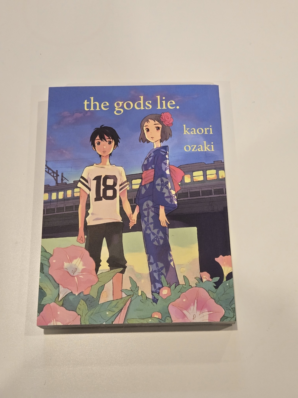 The Gods Lie Manga